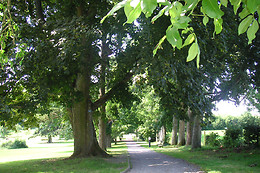 Domaine de Villers-Sainte-Gertrude  - La Ferme