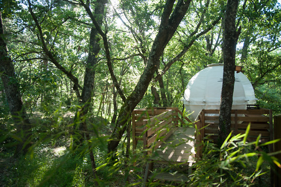 Natura lodge - photo 3