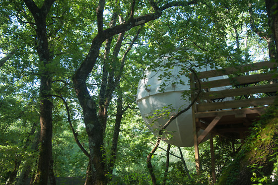 Natura lodge - photo 14